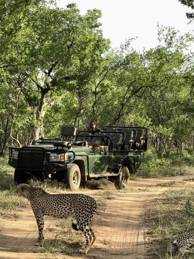 Karongwe Portfolio- Shiduli Private Game Lodge Karongwe Game Reserve Exteriör bild